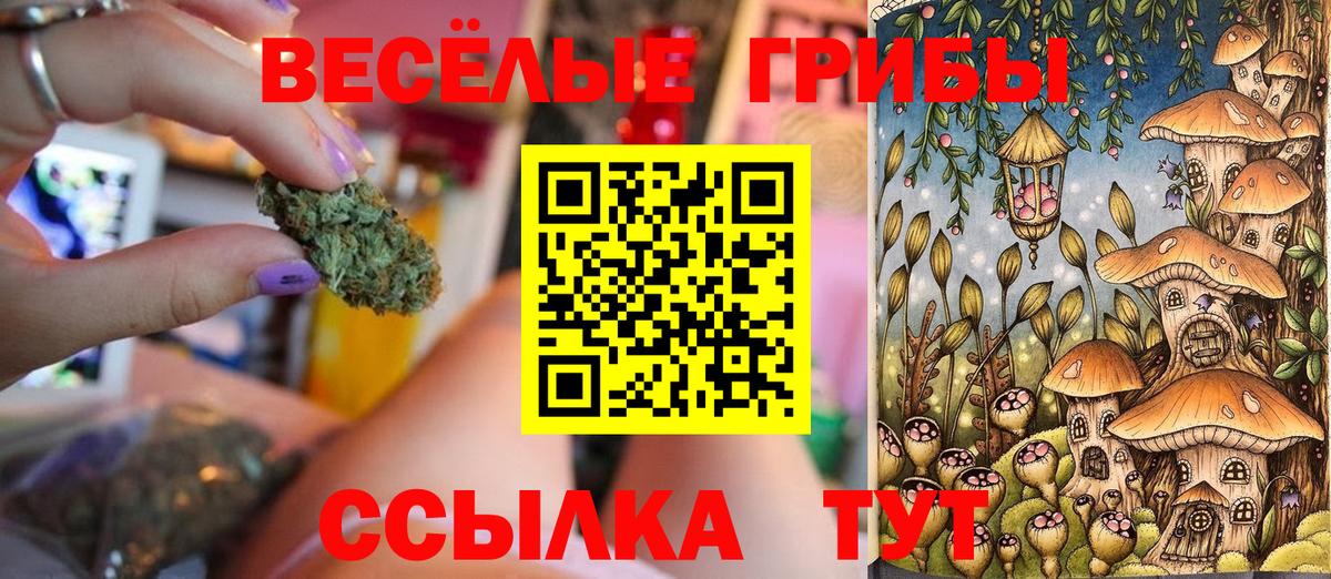 Галлюциногенные грибы Cubensis Амурск